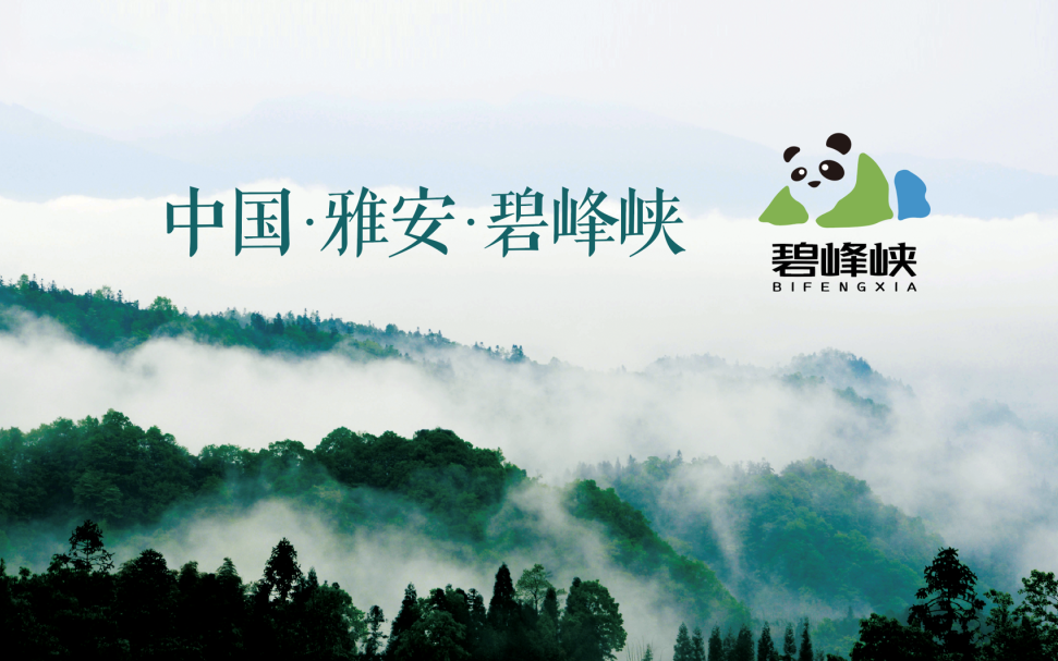 GA黄金甲·(中国集团)官方网站