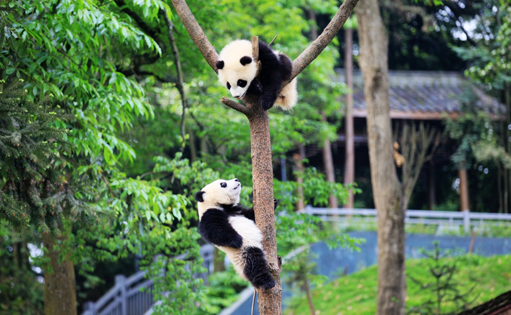 GA黄金甲·(中国集团)官方网站